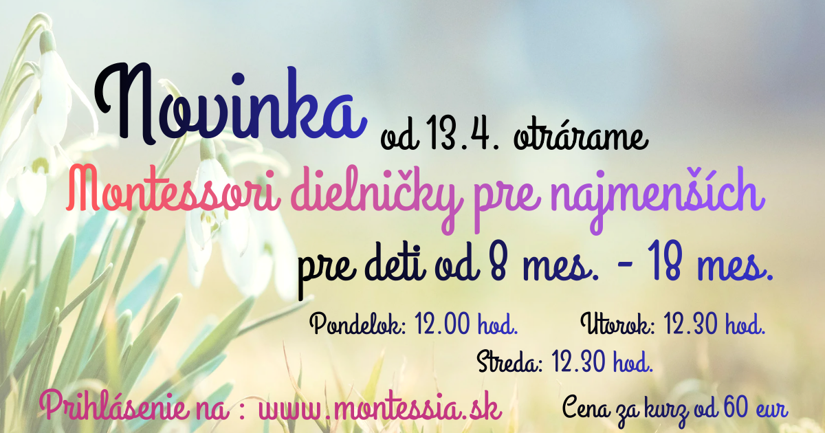 Montessori dielnicky - Presov